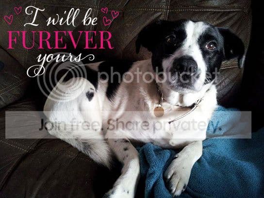 We’re celebrating Love an Oldie Day! — Unknown