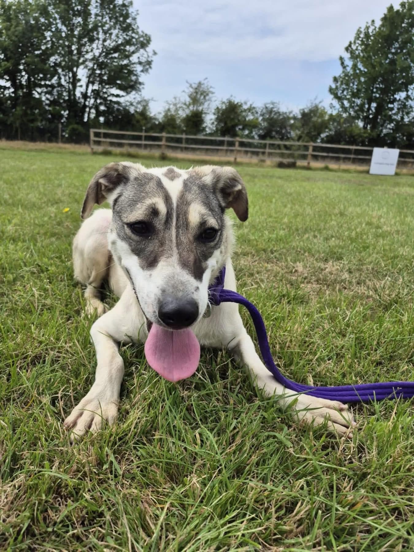 Lotty (2) — Unknown