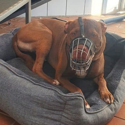 TJ (Tommy Junior) photo 3