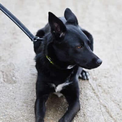 Dornröschen photo 2