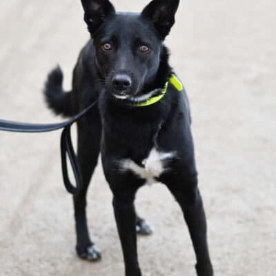 Dornröschen photo 3