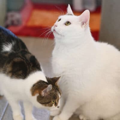 Gundula & Gunter — Ekh