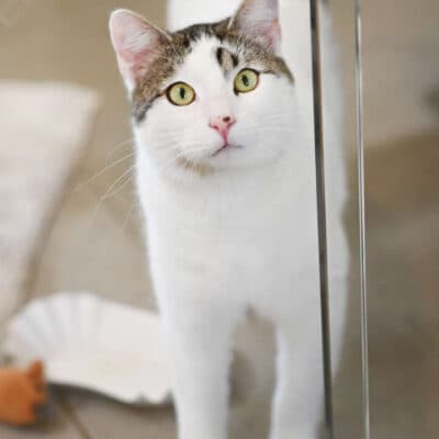 Marti & Frechdachs — Ekh