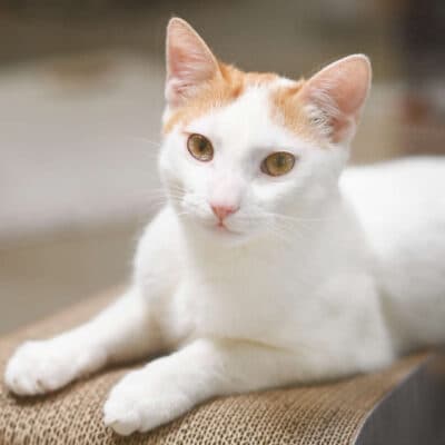 Marti & Frechdachs photo 2