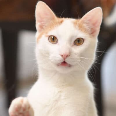 Marti & Frechdachs photo 3