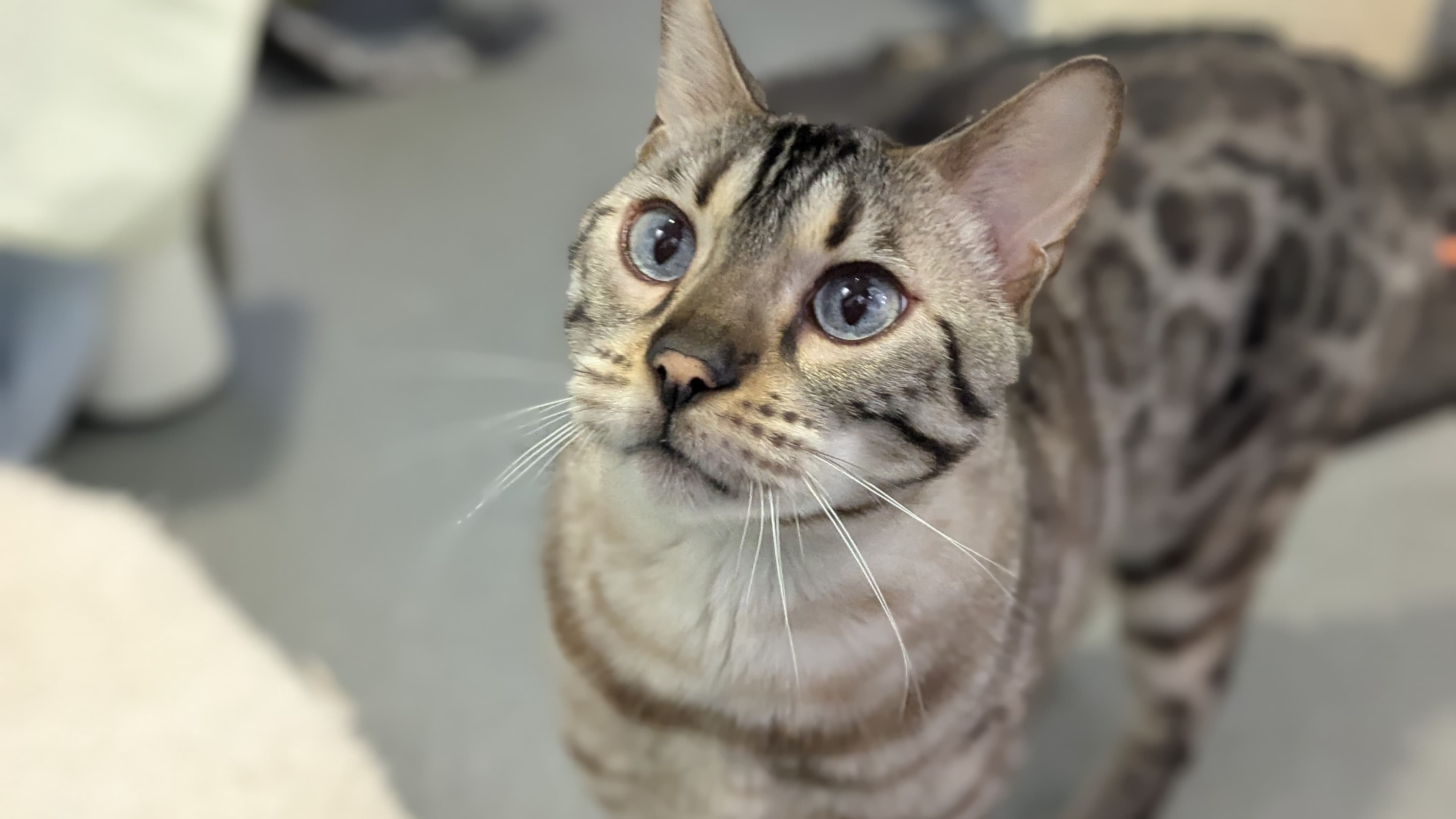 Baby stormzy photo 5