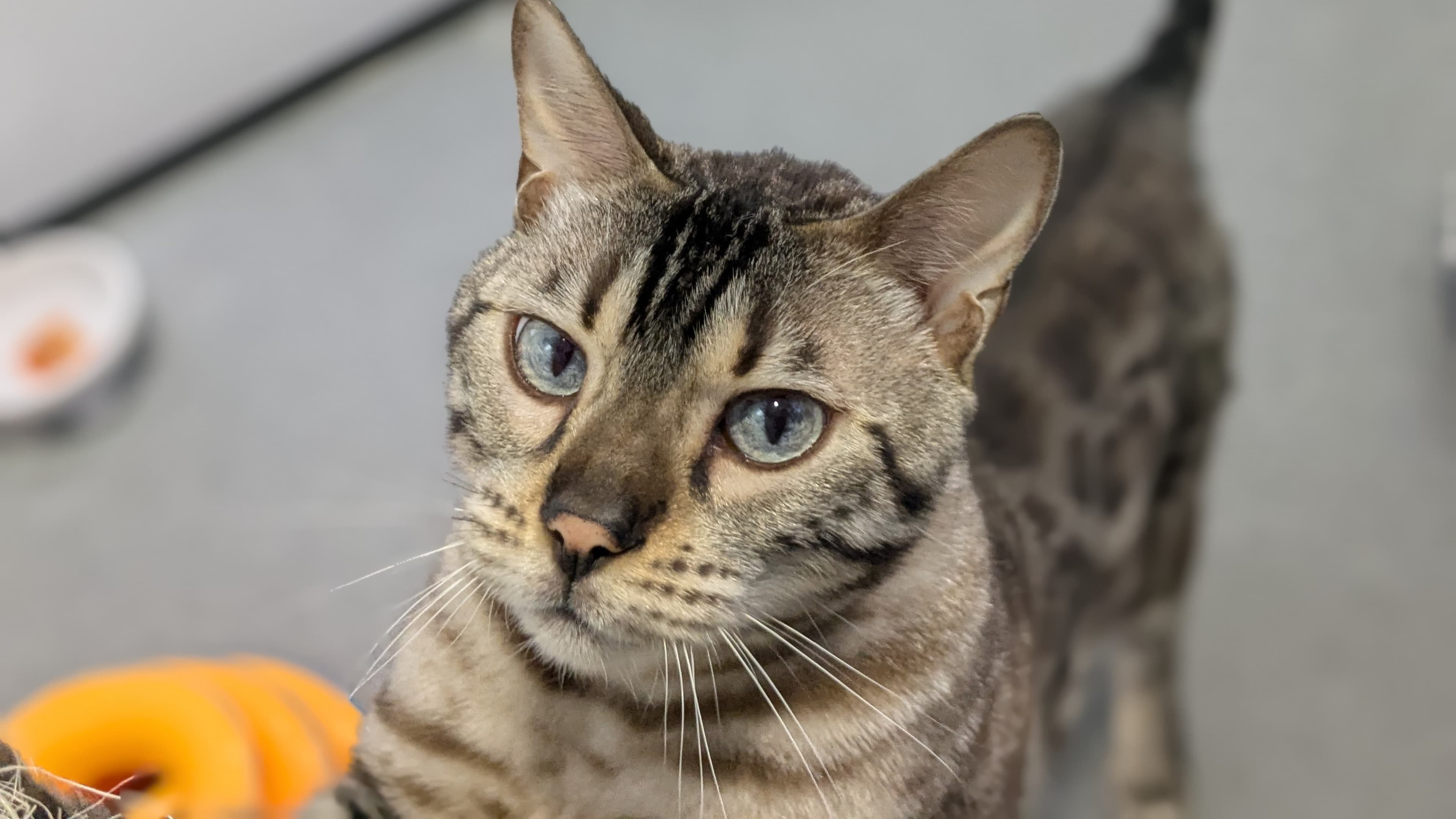 Baby stormzy photo 2