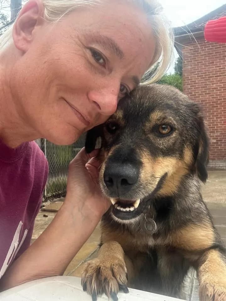 Hovis — Mixed Breed