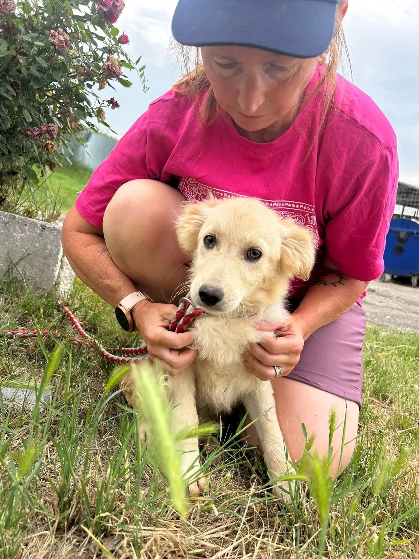 Cathy — Mixed Breed