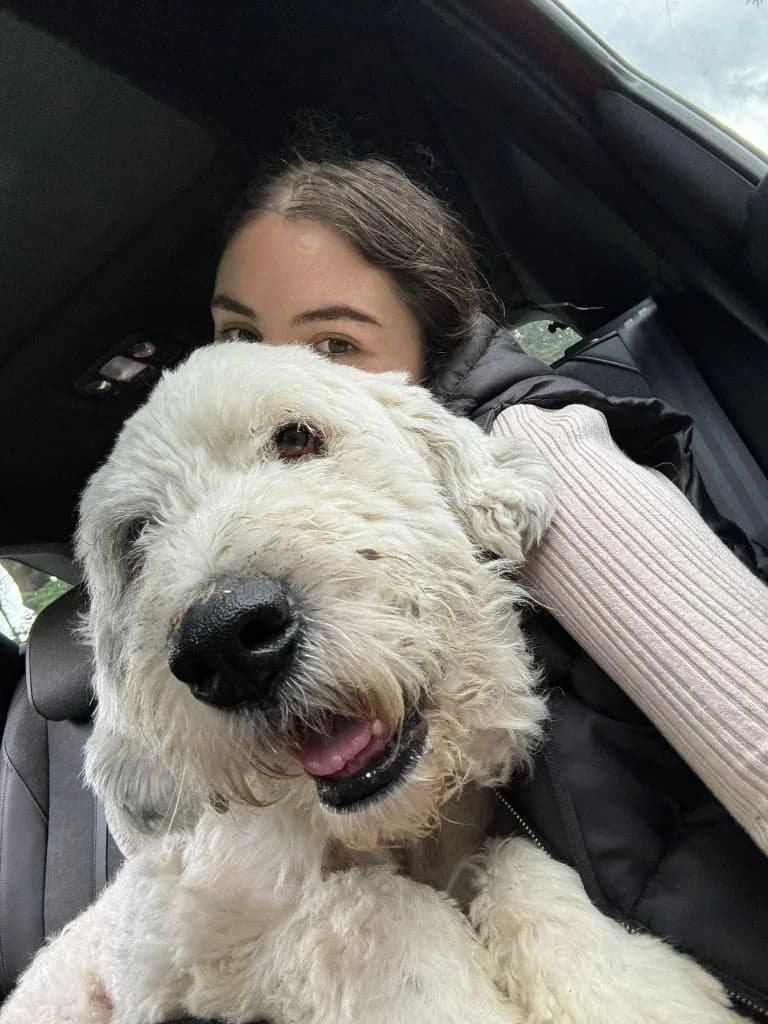 Pixel — Mioritic Shepherd