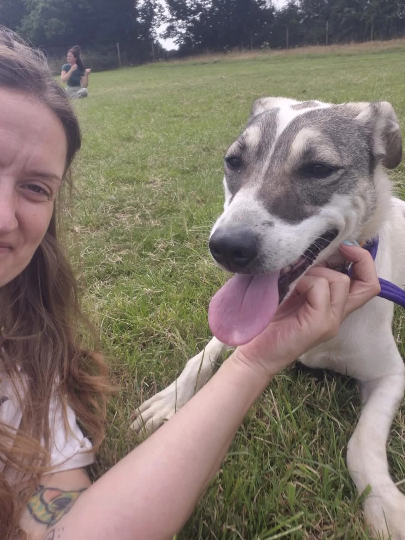 Lotty — Mixed Breed