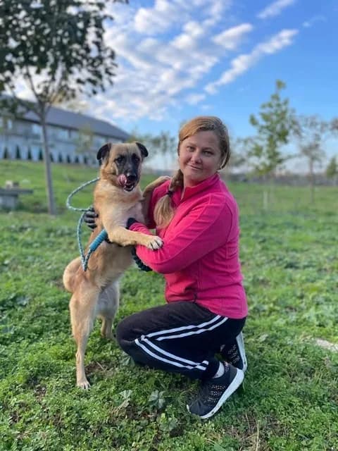 Darcy — Mixed Breed