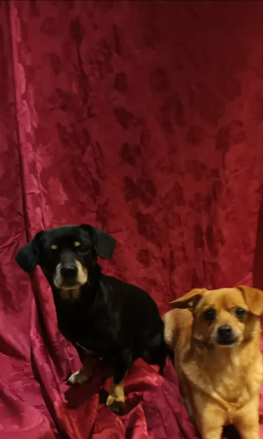 Seona and Luigi photo 2