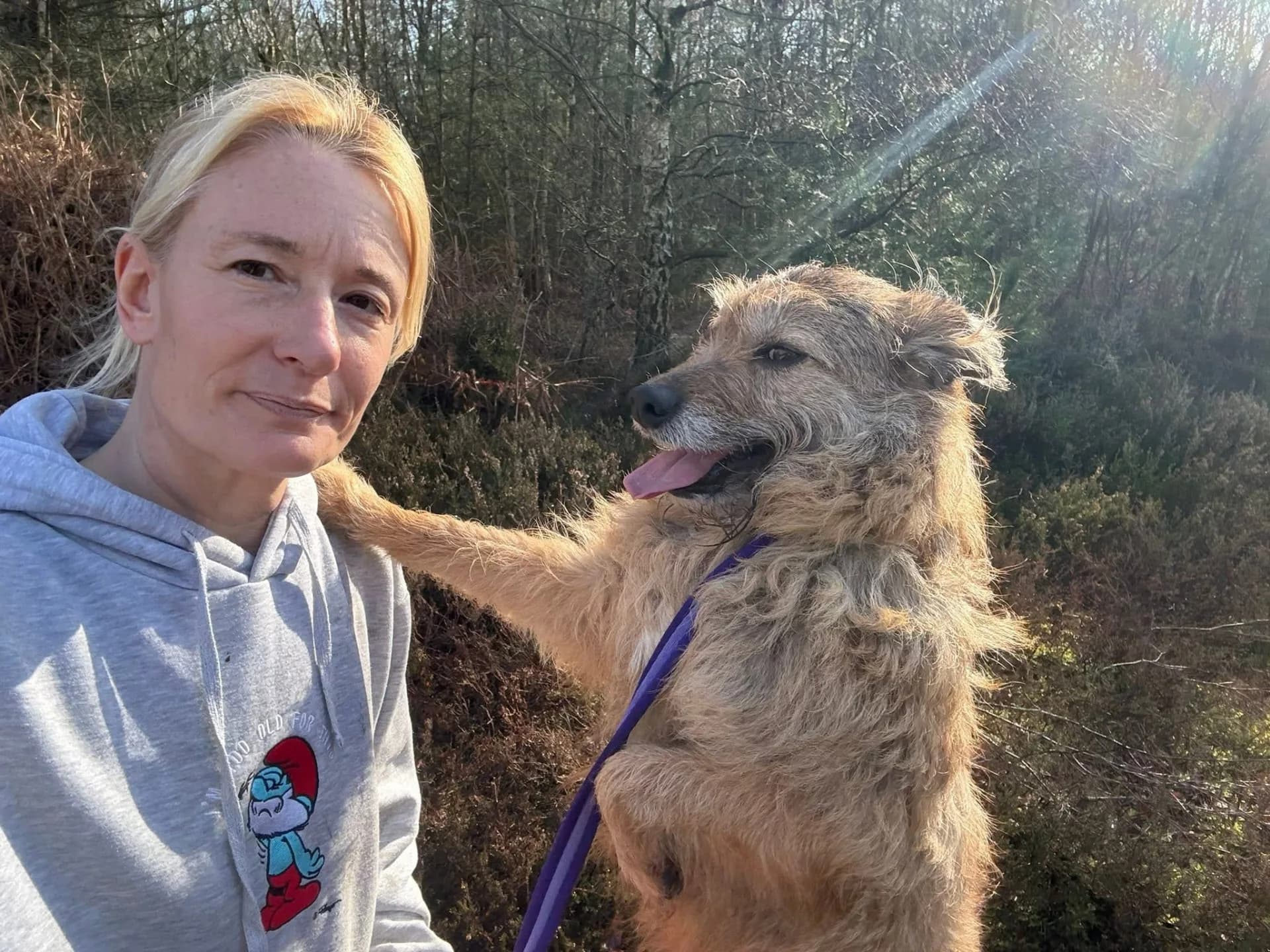 Jack — Mixed Breed