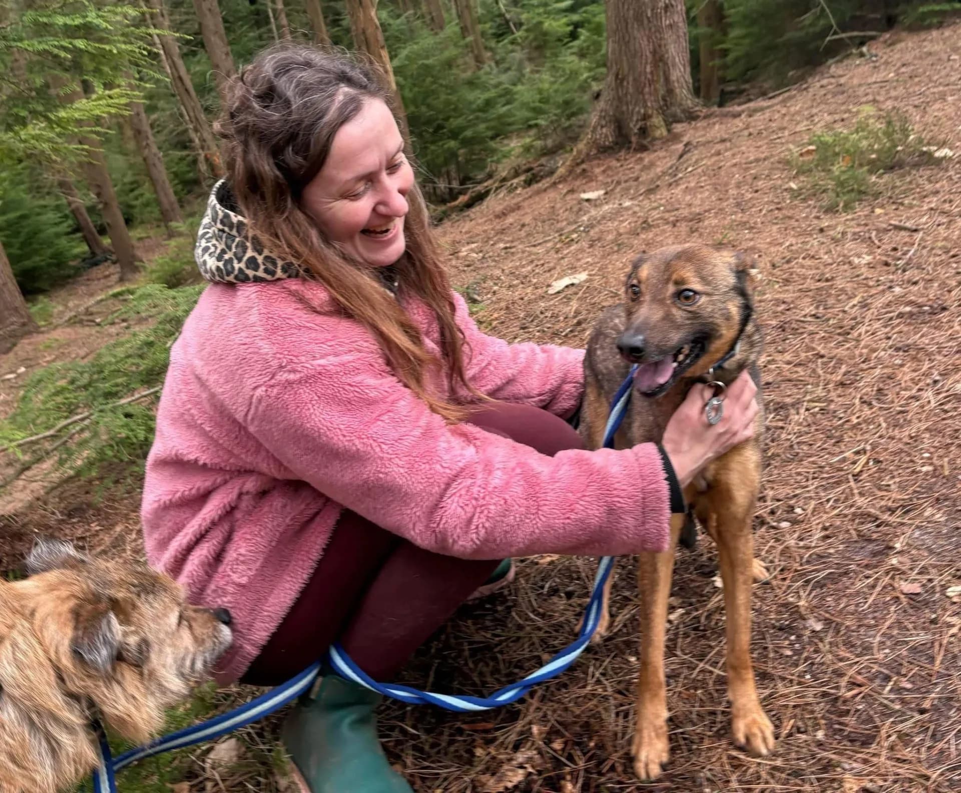 Figgy — Mixed Breed