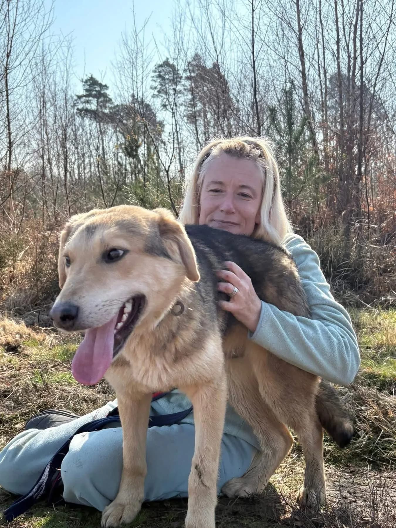 Neddy — Mixed Breed