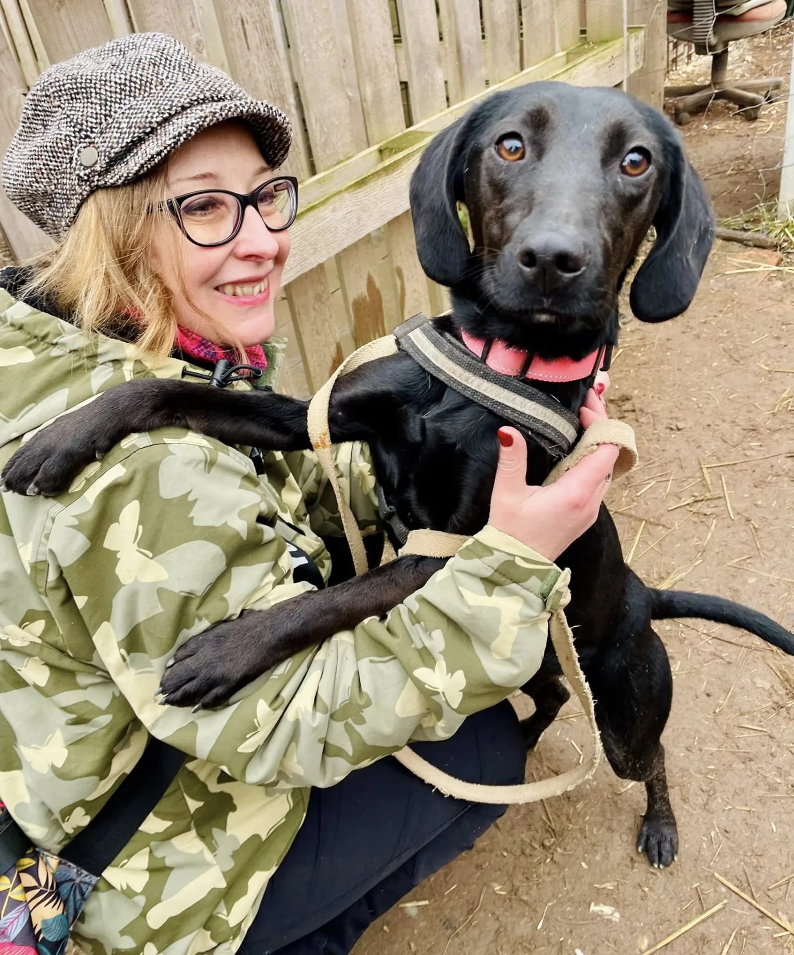 Trixy — Mixed Breed