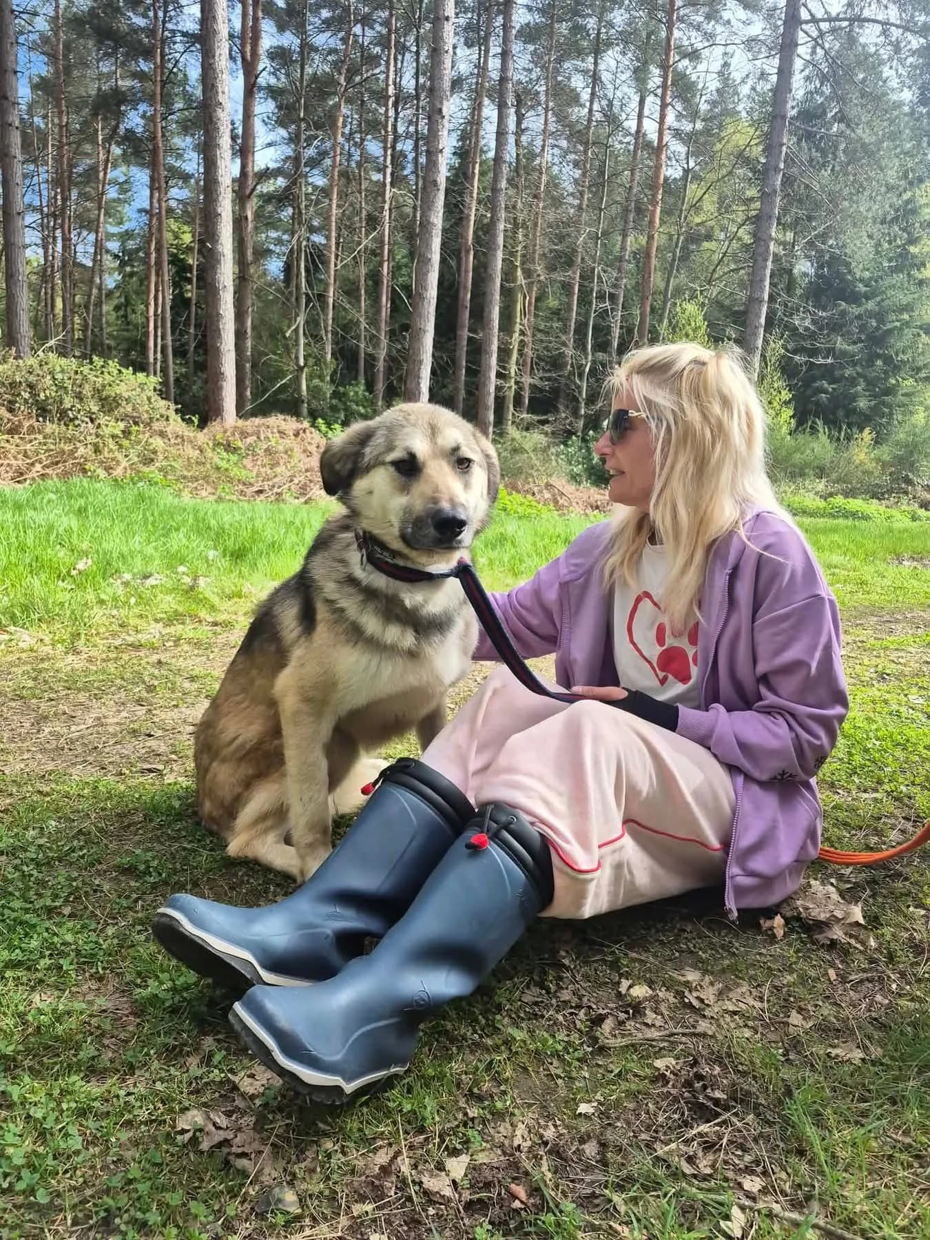 Molly — Mixed Breed