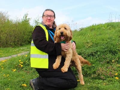 Bernie — Golden Retriever Cross