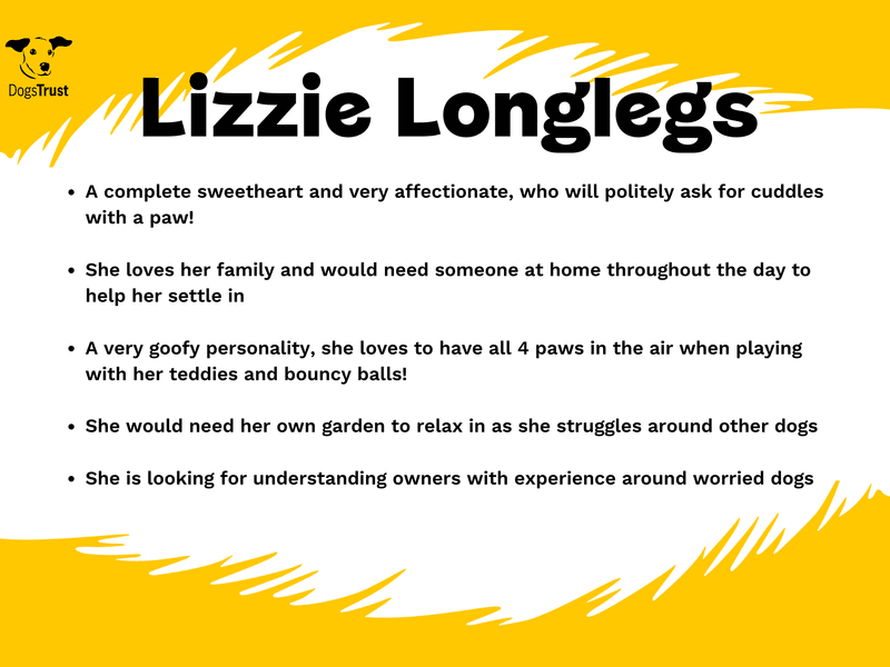 Lizzie Longlegs photo 3