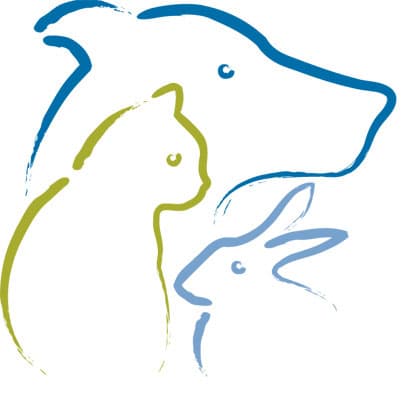 Sugar — Of Home They Require For Their Own Parti