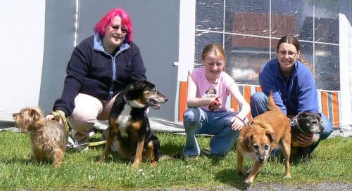 Oldies Go Camping! — Unknown