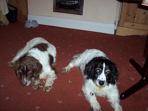 Meg & Ben — Unknown