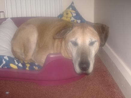 Handsome Jason — Unknown