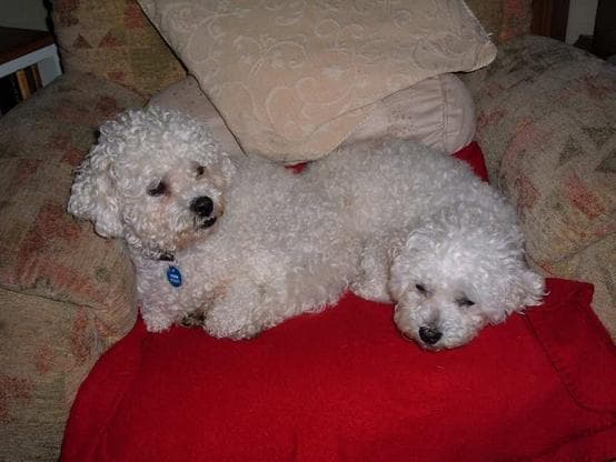 Ronnie-mum & Jack-son — Unknown