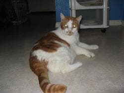 Thomas & Vicky — Unknown