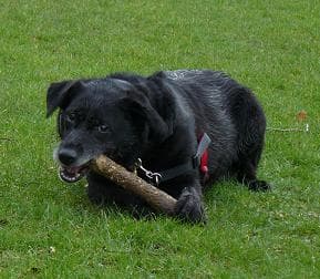 Magnificent Meg — Unknown