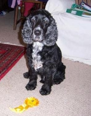 Why did no-one want Kyle Cocker? — Unknown