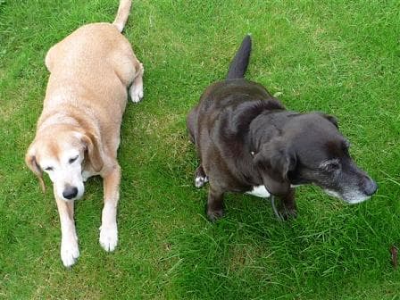 Jasper & Jessica — Unknown