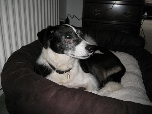 Some photos of Colin — Unknown