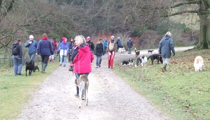 Oldies go walking at Westonbirt — Unknown