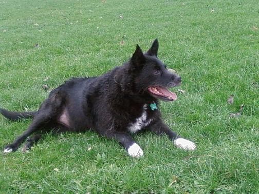 Sox writes… — Unknown