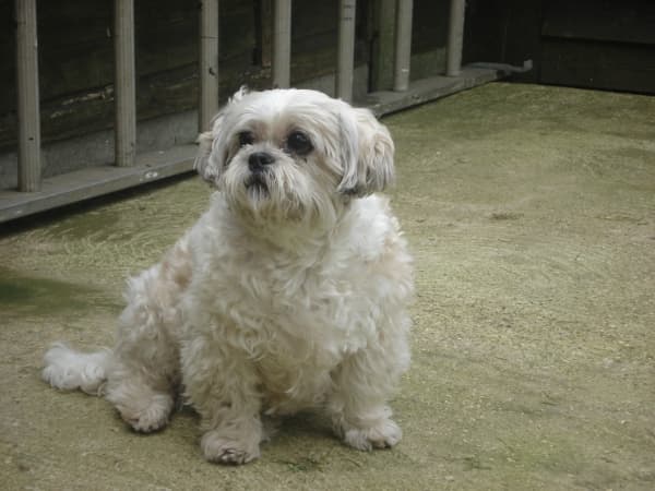 Billy Bob — Unknown