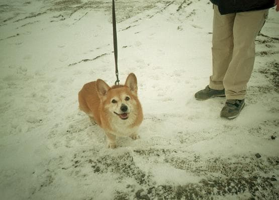 Ernie tells us about his holidays! — Unknown