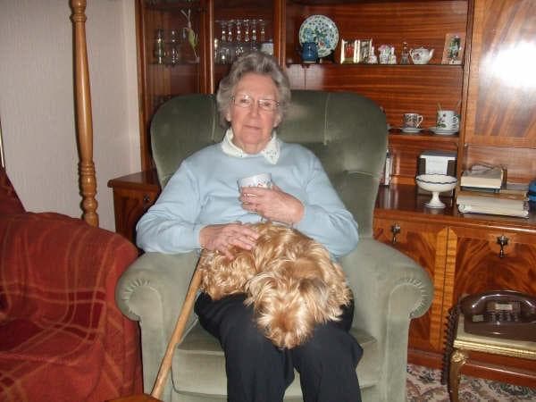 Ginty – settled and happy — Unknown