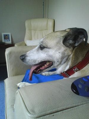 Freda’s still having fun! — Unknown