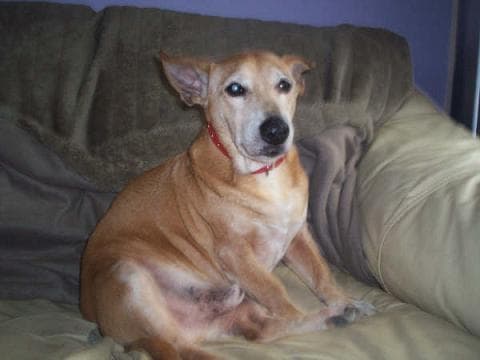 TJ, now known as Jack! — Unknown