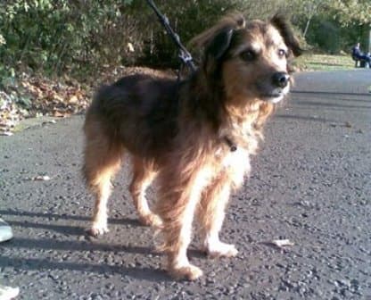 Super Skip — Unknown