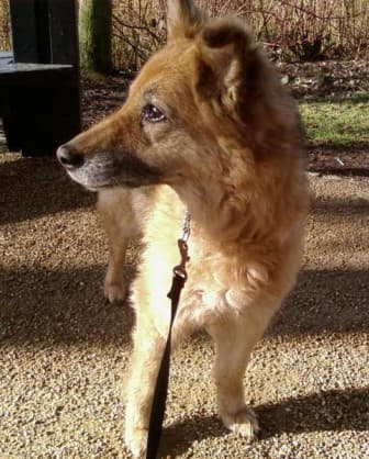 Pretty Pepsi — Unknown