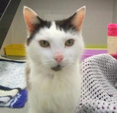 Aggy boy — Unknown