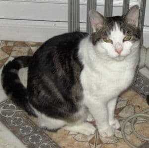 Columbus — Unknown