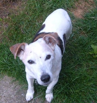 Super Sam — Unknown