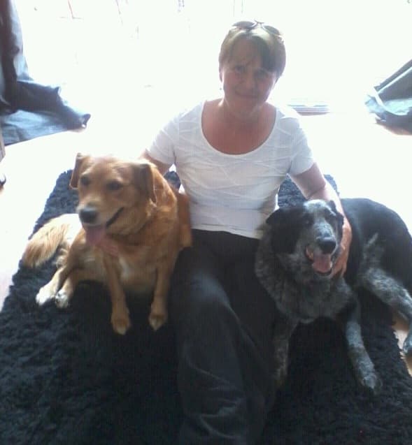 An update on Bella — Unknown