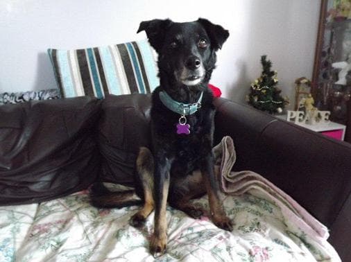 Cute Casey Cheekygirl — Unknown