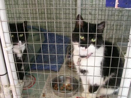 Sugar & Spice — Unknown