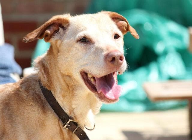 Tina – looking for someone special! — Unknown